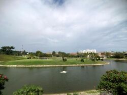 Sentosa Cove (D4), Detached #479013751